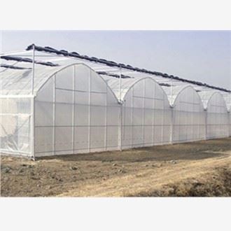 प्लास्टिक फिल्म ग्रीनहाउस